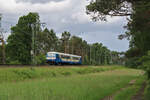 EVB 628 151 fährt als RB76 von Rotenburg(Wümme) nach Verden(Aller) und ist hier gerade zwischen Holtum und Westerwalsede unterwegs.