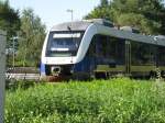 Der VT 109 auf den Weg von Bremenhaven nach Cuxhaven kurz vor dem Bahnhof von Nordholz aufgenommen am 05.08.09.