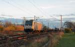 185 687 zog am 05.11.12 einen EVB-Containerzug durch Greppin Richtung Dessau.