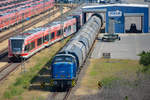 V 60.5 bei Rangierarbeiten mit Getreidewagen im Mukran Port.