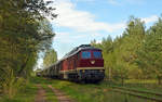 232 334 der EBS rollte am 27.04.19 auf der Fahrt von Ferropolis nach Burgkemnitz und weiter nach Erfurt über die Jüdenberger Waldbahn.