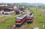 132 068-8 (LEG) und 132 334-4 (EBS) zu sehen am 07.06.19 in Gera Hbf.