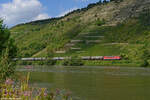 Am 02.09.2021 ist 155 046 (FWK / EBS) im Maintal bei Gambach in Richtung Süden unterwegs.