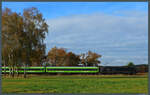 ES64 U2-098 (182 598) der IGE rollt am 06.11.2021 mit dem Flixtrain 32612 von Stuttgart nach Berlin durch die Dübener Heide bei Radis.