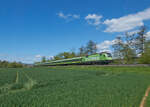 Bei herrlichem Frühlingswetter zog 182 522 am 30.04.2023 Flixtrain FLX 1243, auf dem Weg von Berlin nach Basel, durch Unterhaun.