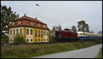 Die Diesellok V100 1019 (Ulmer Eisenbahnfreunde - UEF) überführte am 01.11.2024 den Dieseltriebwagen  Der General  VT 08 801 (Georg Verkehrsgesellschaft - GVG 608 801-7) von Mannheim