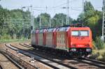 PANKETAL (Landkreis Barnim), 12.09.2010, 4 185er Loks der HGK beim Berliner S-Bahnhof Zepernick