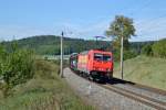 185 586-5 (Heizprofi) mit einem Autozug am 18.09.2014 bei Oberdachstetten