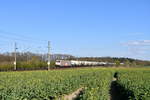 hvle 185 583 mit einem Zementzug aus Sassnitz-Mukran am 17.04.2019 bei Müssen