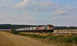 Am Abend brummt der Tiger 250 010 mit dem VPS Kalkzug durch Börnecke in Richtung Blankenburg.