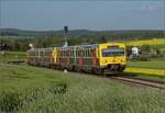 Abgesang auf die Taunus Elevated.

609 001 HLB VT01 und 609 004 HLB VT04 bei Wehrheim auf dem Weg nach Brandoberndorf. Mai 2022.