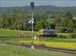 Abgesang auf die Taunus Elevated.