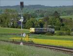 Abgesang auf die Taunus Elevated.

609 020 HLB VT20 und 609 018 HLB VT18 bei Wehrheim auf dem Weg nach Brandoberndorf. Mai 2022.