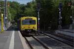 Abgesang auf die Taunus Elevated.

Zwei nicht bekannte VT2E in Köppern auf dem Weg nach Grävenwiesbach. Mai 2022.