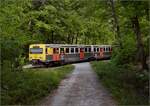 Abgesang auf die Taunus Elevated.

609 006 HLB VT06 und 609 003 HLB VT03 am Bahnübergang Pionierweg zwischen der Saalburg und Köppern auf dem Weg nach Frankfurt Hbf. Mai 2022.