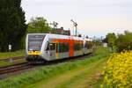 HLB Stadler GTW 2/6 VT116 und VT114 am 28.04.24 in Beienheim auf Abschiedsfahrt