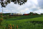 Die von HSL angemieteter 185 671 mit Containerzug im grünen der Ruppersgrüner Kurve.