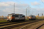 Am 13.11.22 rangierten 151 145 und 151 017 der HSL in Bitterfeld.