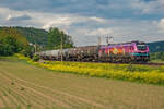 Am 18.05.2024 fuhr der Jubileerider  20 Jahre HSL Logistik  (2019 307) mit seinem  Kesselzug durch Porstendorf Richtung Jena.