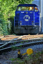 Die Diesellokomotive 183 (0264 007-2) steht aktuell auf dem Gelände der Firma Alstrom Reuschling Service. (Hattingen, August 2024, Standort Fußweg Eickener Straße)