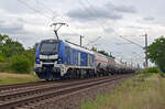 Der üblicherweise mit einem Smartron der Infra Leuna bespannte Ammoniakzug von Großkorbetha nach Wittenberg-Piesteritz hatte am 25.08.24 159 232 als Zuglok. Hier rollt der Zug durch Greppin Richtung Dessau.