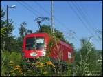  Karl der Kfer  oder wer hockt hier im Gras? Ich finde, dass das ein nettes Bild ist oder was meint ihr? 1116 238 der ITL auf einem Abstellgleis im Bf Krippen, 17.07.07.