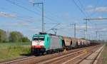 186 244 zog am 10.05.15 einen Silozug durch Rodleben Richtung Magdeburg.