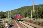 232 238-6 und 132 158-7 (LEG) fuhren am 03.07.18 einen Kesselzug (88984) nach Neustadt Donau durch Unterloquitz.