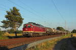 Die 132 158-7 der LEG am 28.06.2019 in Nassenheide.