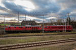 LEG 232 416 & 250 247 am 05.01.2023 im Bahnhof Angermünde.