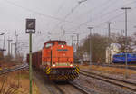 LOCON 211 (V 100 / BR 203)  LOCON Logistik & Consulting AG  Bf.Angermünde   29/02/2020