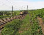 LOCON ES 64 F4-206 (189 206-6 D-DISPO) mit dem DGS 92807 von Venlo (NL) nach Gemnden (Main), bei Erbach (Rheingau); 25.08.2010