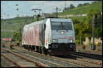 Das rote  Teufelszebra  Lokomotion 185 666 am 18.09.2024 in Würzburg Lz auf dem Weg nach Süden.