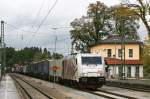 Das rote Lokomtion Zebra 185 666 mit einem KLV Zug am 10.10.2009 in Aling.