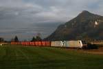 186 283 und eine Schwesterlok mit DGS 43117 „Hangartner“ am 06.11.2010 bei Niederaudorf.