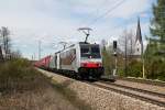 186 285 + 189 91x mit dem Winner KLV am 19.04.2012 bei Grokarolinenfeld.