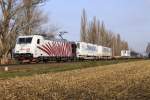 Lokomotion´s Niels 185 666 mit einem KLV bei der Ausfahrt in Ludwigshafen BASF am 03.12.2013