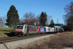 186 281 und eine 482 mit dem Ekol am 27.12.2013 bei Übersee.