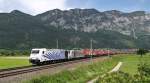 185 663-2 und 186 282-0 von Lokomotion durchfahren am 4.6.2014 mit einem winner-Ganzzug das Inntal bei Langkampfen Richtung Brenner mit Blick auf den Pendling.