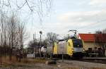 ES 64 U2 - 037 (Lokomotion) mit DGS 43131 in Grokarolinenfeld (17.01.2007)