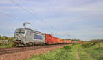 383 402 von Metrans mit einem Kistenzug nach Hamburg am 19.09.2020 bei Zeithain