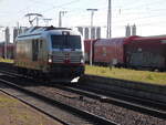 MKB 248 006  Merle  in Wunstorf, Oktober 2021