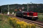 204 311 hat 142 001  im Schlepp  und ist auf dem Weg nach Bad Schandau, um dort den Kokszug nach Lichtenstein(Sachs) zu bernehmen.