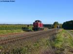 V100 1041 der NeSA zwischen Wiesau (Oberpf) und Pechbrunn auf der Fahrt nach Hof, 10.10.2010