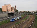 563 005-2 der NEB auf der Überführungsfahrt von Basdorf nach Berlin-Charlottenburg via Grunewald.
Hier auf Höhe Kaiserdamm.

Berlin, der 24.09.2024