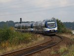 22.10.16 VT 729 der NEB von Basdorf nach Berlin Gesundbrunnen bei Berlin Karow