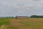 Ein Triebzug der NEG auf dem Weg nach Dagebüll-Mole kurz vor Blocksberg (03.07.2024)  