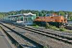 261 302-4 der northrail am Ende des von 261 300-8 (am linken Bildrand schwach sichtbar) von Mengen bis Sigmaringen gezogenen Zuges.