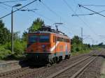 1142 579 der Northrail Durchfhrt am 14.09.13 als  Susi  Single Dresden Stetzsch.