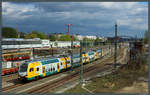 445 113 der ODEG passiert am 08.04.2017 den S-Bahnhof Warschauer Straße.